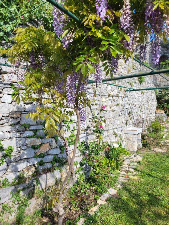 La Bouganvilla Porto Venere Zewnętrze zdjęcie