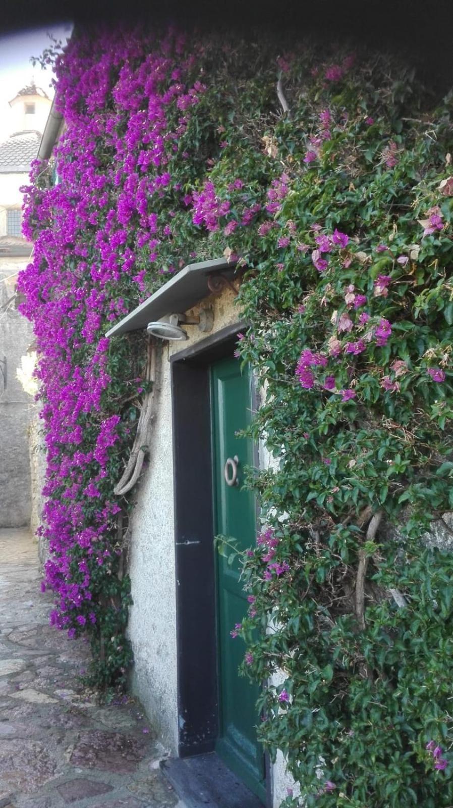 La Bouganvilla Porto Venere Zewnętrze zdjęcie